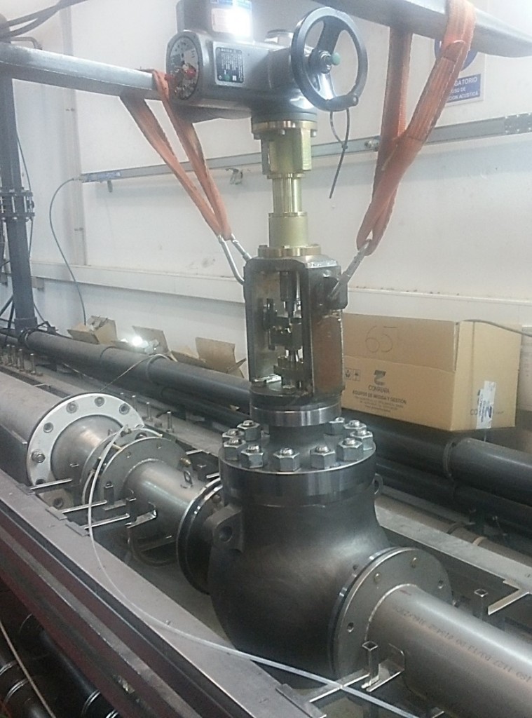 HIGH RANGEABILITY GLOBE CONTROL VALVES SUPPLIED TO BELARUS NPP - Ringo ...